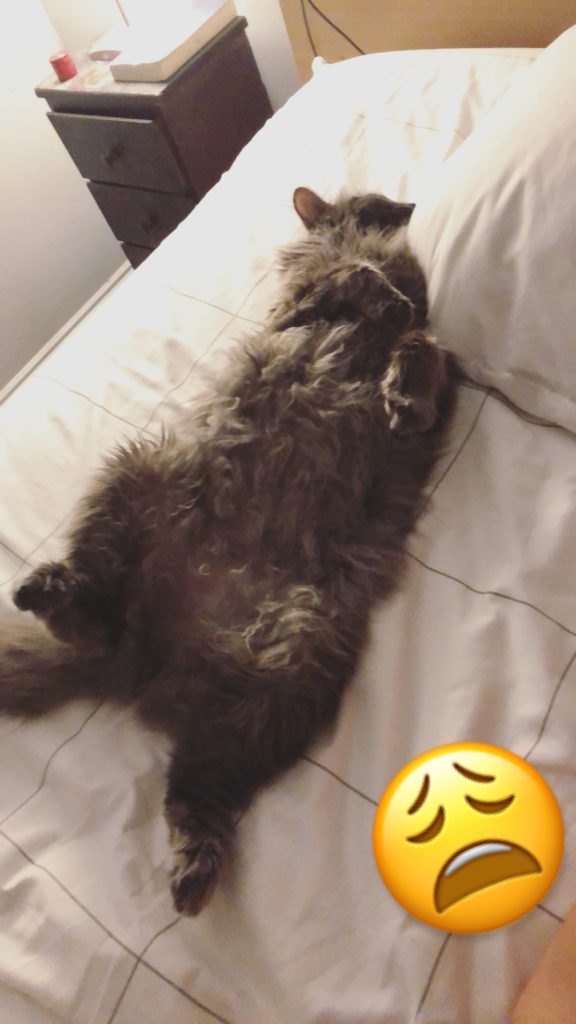 sg upside down