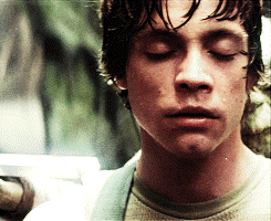 luke and yoda