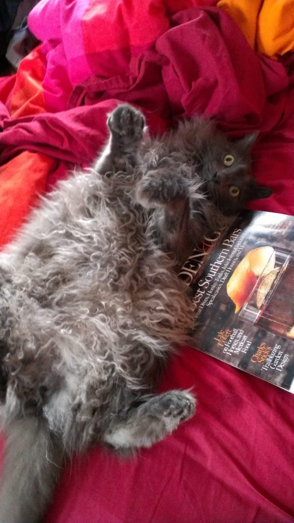 He's big on reading.
